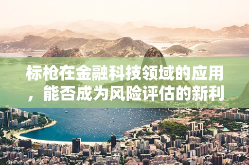 标枪在金融科技领域的应用，能否成为风险评估的新利器？