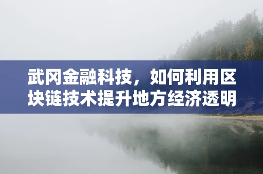 武冈金融科技，如何利用区块链技术提升地方经济透明度与效率？