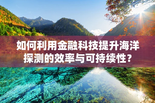 如何利用金融科技提升海洋探测的效率与可持续性？