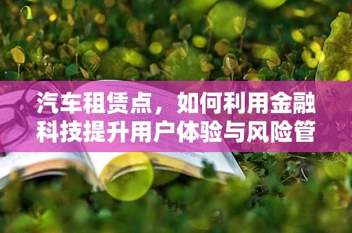 汽车租赁点，如何利用金融科技提升用户体验与风险管理？