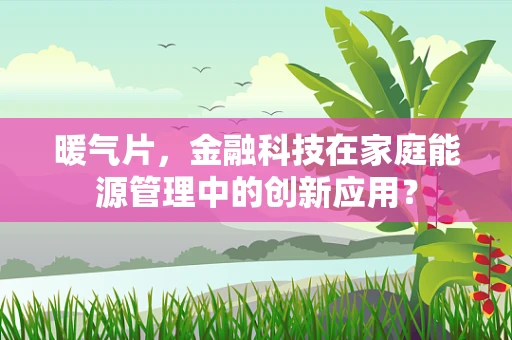 暖气片，金融科技在家庭能源管理中的创新应用？