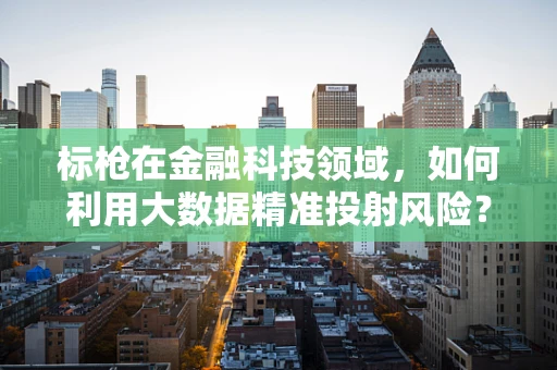 标枪在金融科技领域，如何利用大数据精准投射风险？