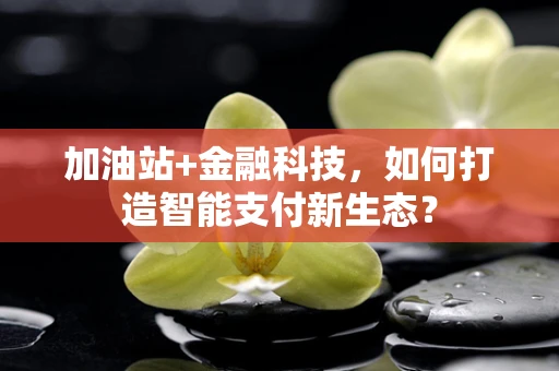 加油站+金融科技，如何打造智能支付新生态？