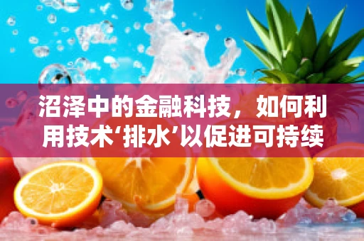 沼泽中的金融科技，如何利用技术‘排水’以促进可持续发展？