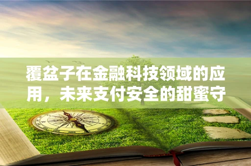 覆盆子在金融科技领域的应用，未来支付安全的甜蜜守护者？