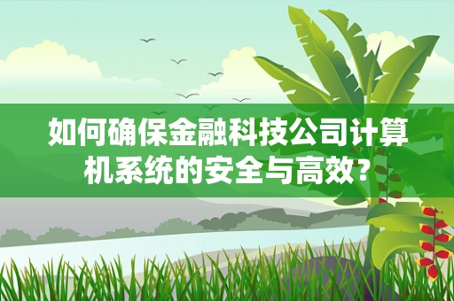 如何确保金融科技公司计算机系统的安全与高效？