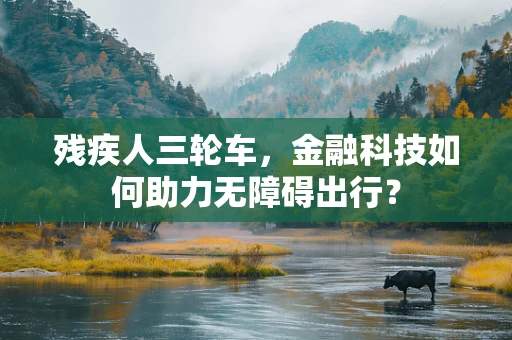 残疾人三轮车，金融科技如何助力无障碍出行？