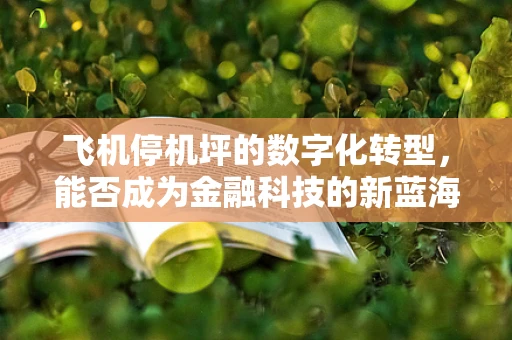 飞机停机坪的数字化转型，能否成为金融科技的新蓝海？