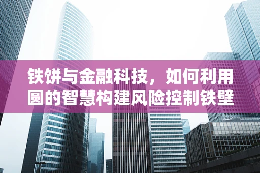 铁饼与金融科技，如何利用圆的智慧构建风险控制铁壁？