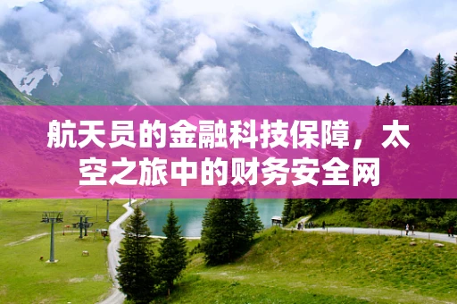 航天员的金融科技保障，太空之旅中的财务安全网