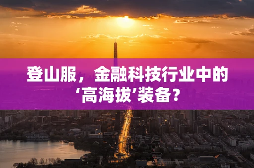 登山服，金融科技行业中的‘高海拔’装备？