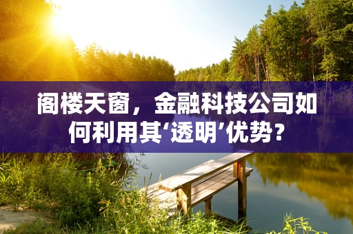 阁楼天窗，金融科技公司如何利用其‘透明’优势？