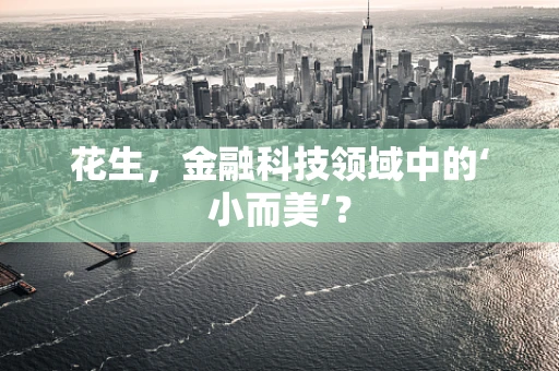 花生，金融科技领域中的‘小而美’？