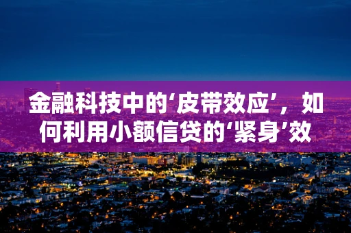 金融科技中的‘皮带效应’，如何利用小额信贷的‘紧身’效应激发经济活力？