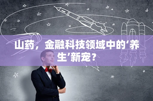 山药，金融科技领域中的‘养生’新宠？