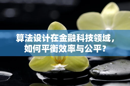 算法设计在金融科技领域，如何平衡效率与公平？