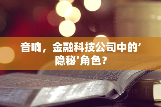 音响，金融科技公司中的‘隐秘’角色？