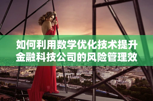 如何利用数学优化技术提升金融科技公司的风险管理效率？