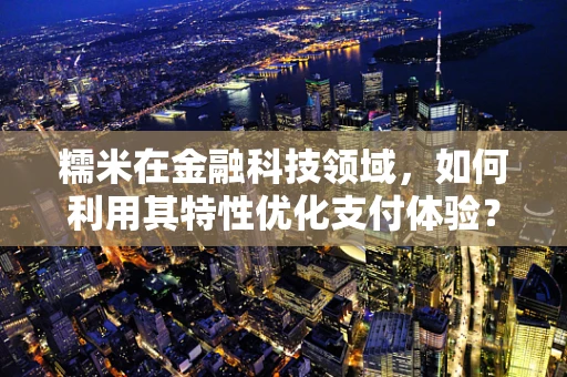 糯米在金融科技领域，如何利用其特性优化支付体验？