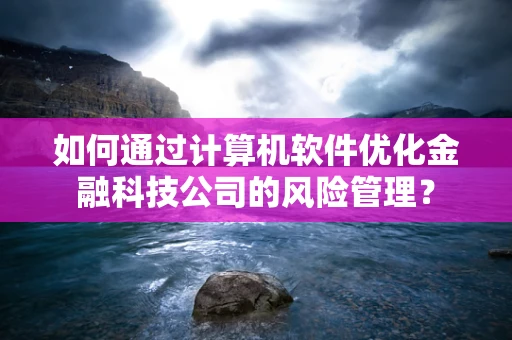 如何通过计算机软件优化金融科技公司的风险管理？