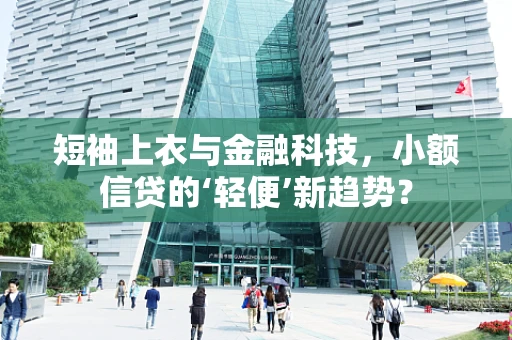 短袖上衣与金融科技，小额信贷的‘轻便’新趋势？