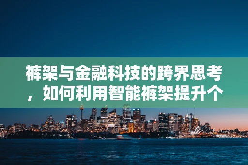裤架与金融科技的跨界思考，如何利用智能裤架提升个人财务管理效率？