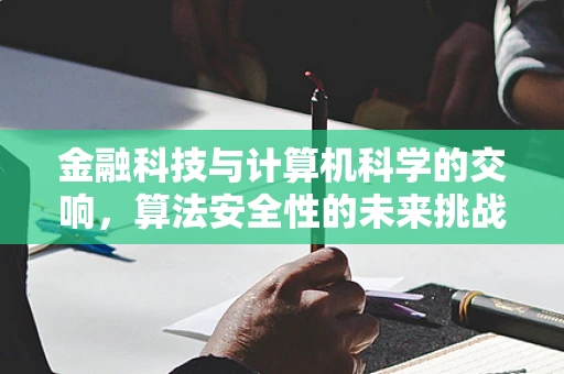金融科技与计算机科学的交响，算法安全性的未来挑战？