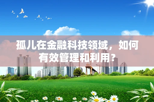 孤儿在金融科技领域，如何有效管理和利用？