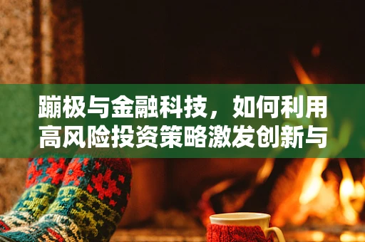 蹦极与金融科技，如何利用高风险投资策略激发创新与增长？