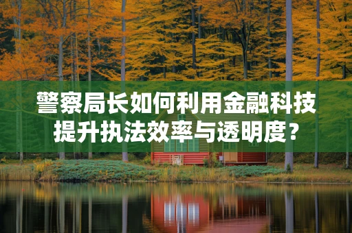警察局长如何利用金融科技提升执法效率与透明度？