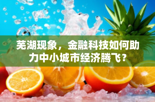 芜湖现象，金融科技如何助力中小城市经济腾飞？