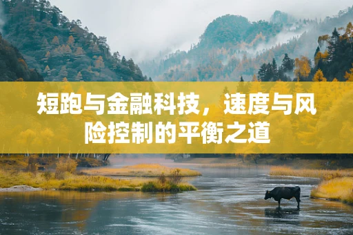 短跑与金融科技，速度与风险控制的平衡之道