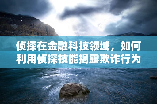 侦探在金融科技领域，如何利用侦探技能揭露欺诈行为？