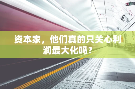 资本家，他们真的只关心利润最大化吗？