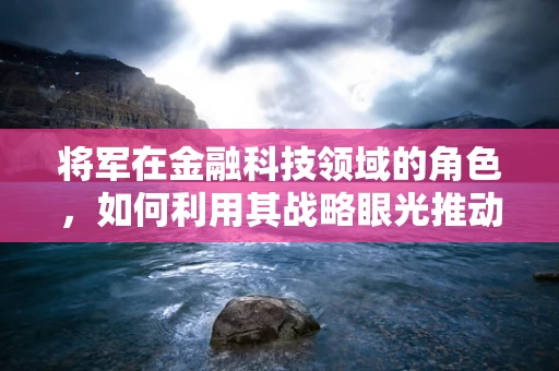 将军在金融科技领域的角色，如何利用其战略眼光推动创新与风险管理？
