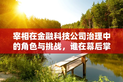 宰相在金融科技公司治理中的角色与挑战，谁在幕后掌舵？