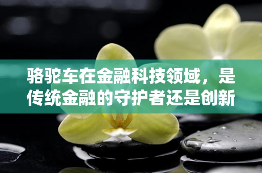 骆驼车在金融科技领域，是传统金融的守护者还是创新浪潮的推动者？