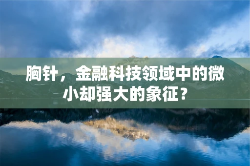 胸针，金融科技领域中的微小却强大的象征？