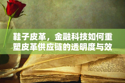鞋子皮革，金融科技如何重塑皮革供应链的透明度与效率？