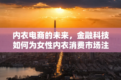 内衣电商的未来，金融科技如何为女性内衣消费市场注入新活力？