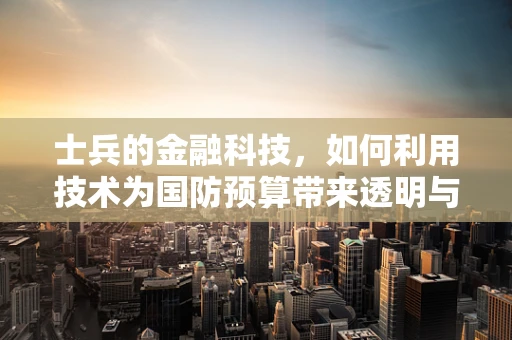 士兵的金融科技，如何利用技术为国防预算带来透明与效率？