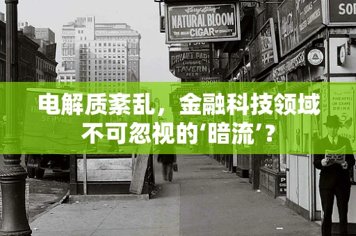 电解质紊乱，金融科技领域不可忽视的‘暗流’？