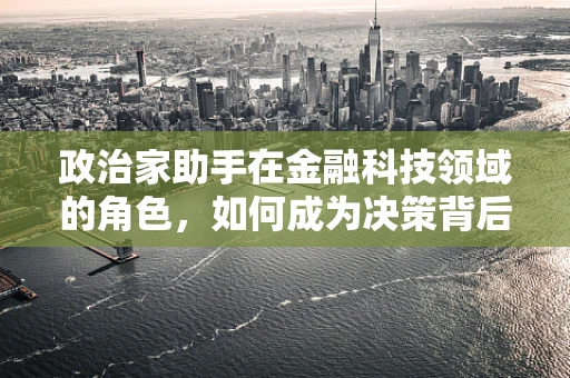 政治家助手在金融科技领域的角色，如何成为决策背后的智囊？