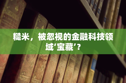 糙米，被忽视的金融科技领域‘宝藏’？
