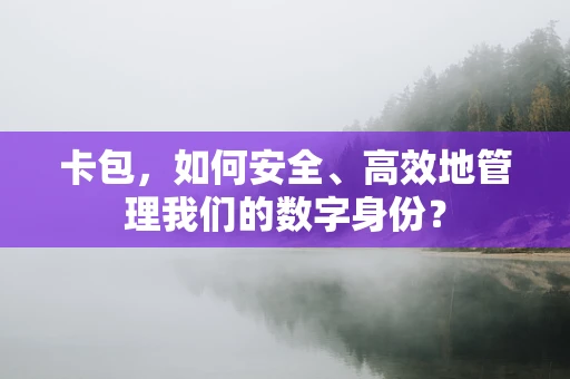 卡包，如何安全、高效地管理我们的数字身份？