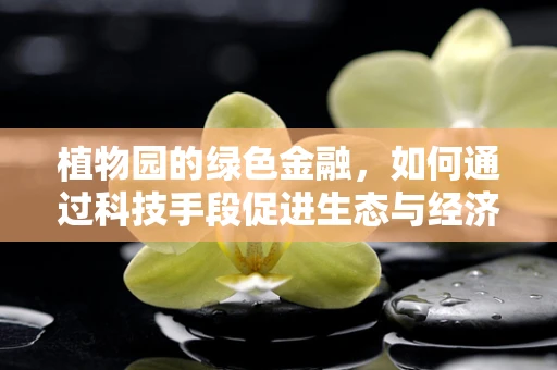 植物园的绿色金融，如何通过科技手段促进生态与经济的双赢？