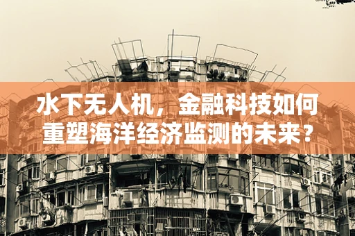 水下无人机，金融科技如何重塑海洋经济监测的未来？