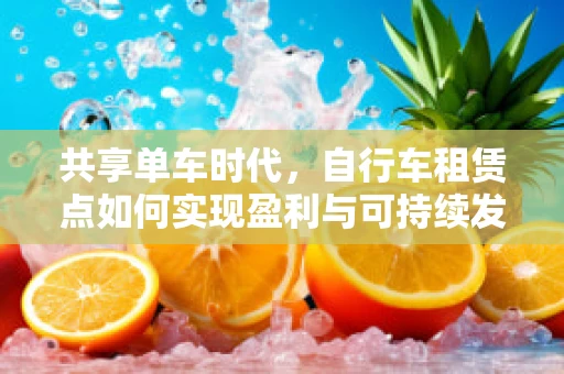 共享单车时代，自行车租赁点如何实现盈利与可持续发展？