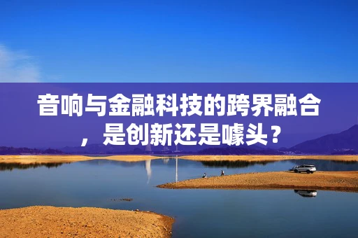 音响与金融科技的跨界融合，是创新还是噱头？