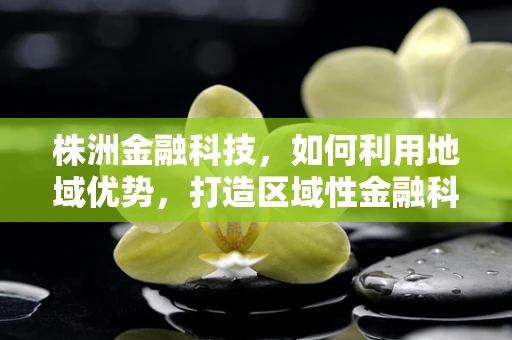 株洲金融科技，如何利用地域优势，打造区域性金融科技高地？
